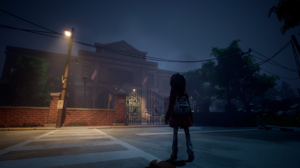 Night. Barley illuminated, almost a silhouette, girl standing in front of the gates of a school.